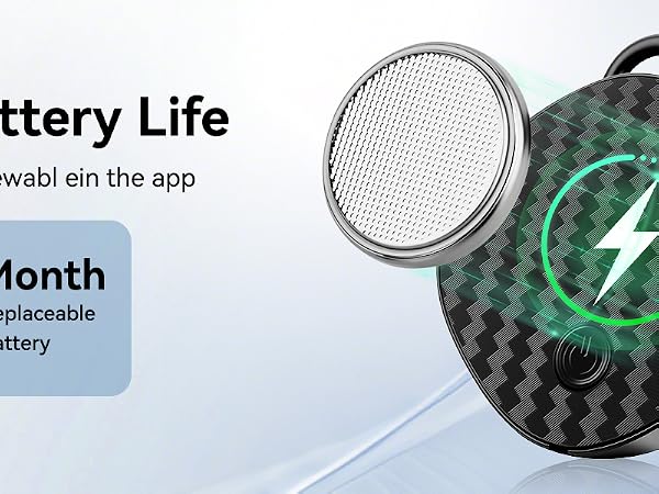 Replaceable battery