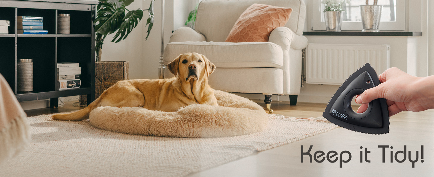 pet hair removal tool