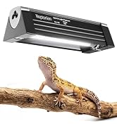 NEPTONION 4W Reptile T5 HO UVB 6.5" 5.0 Light Fixture with Tube, Dedicated UVB Spot Hood for Terr...