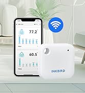 WiFi Thermometer