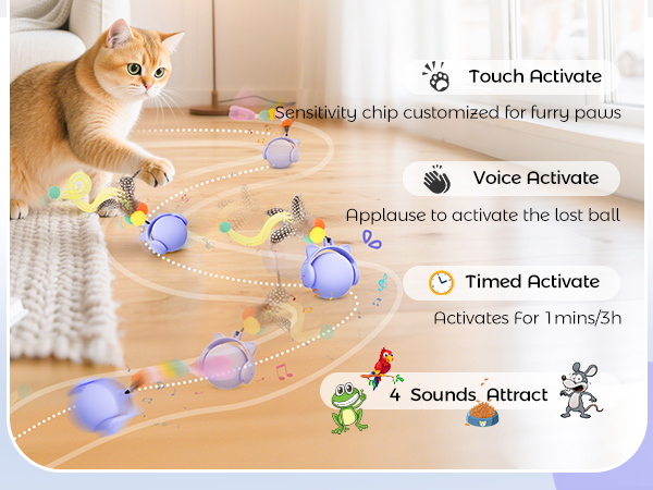 Automatic Kitten Toys