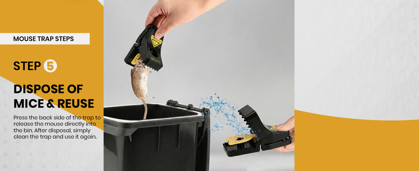 Mouse Traps
