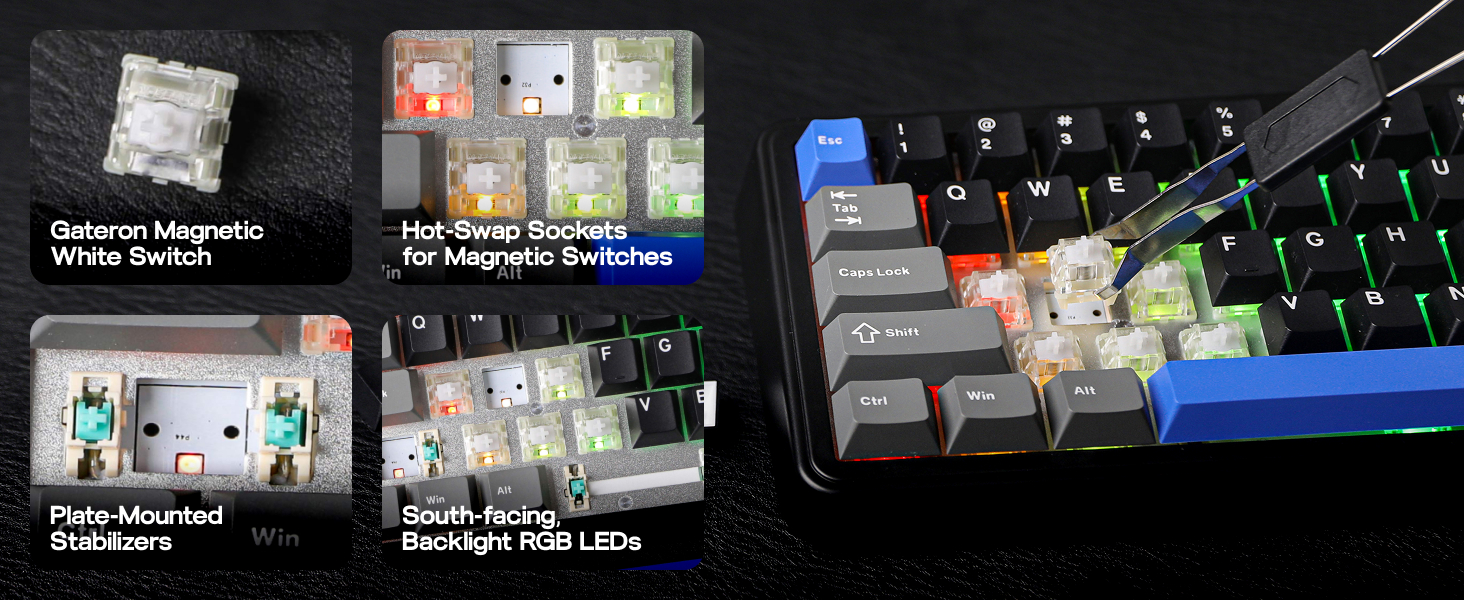 Mechanical keyboard components featuring magnetic switches, hot-swap sockets, plate-mounted stabilizers, and south-facing RGB LEDs. Close-up of keyboard switches and illuminated keycaps.