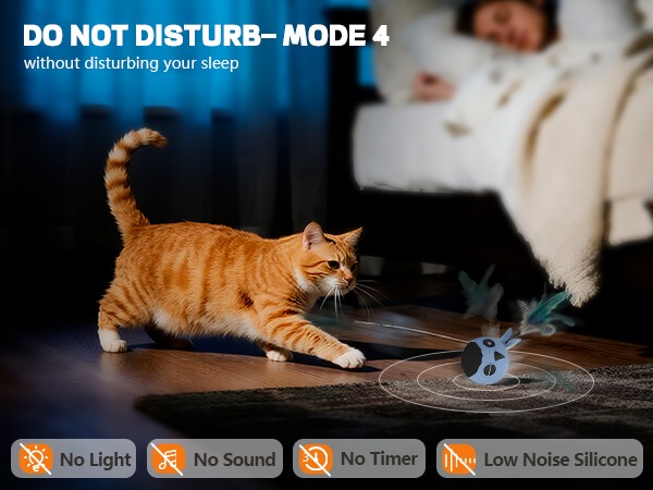 cat toys
