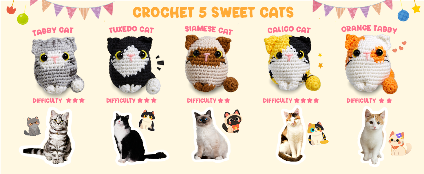 crochet kit for beginner