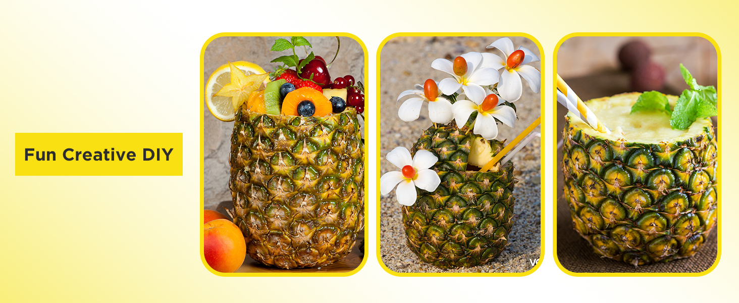 Pineapple Cutter