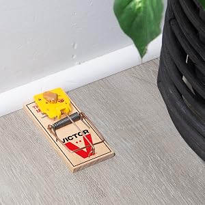 Victor Wide Pedal Mouse Trap ensures higher catch rates