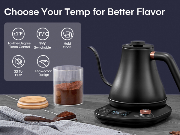 Electric Gooseneck Kettle Temperature Control