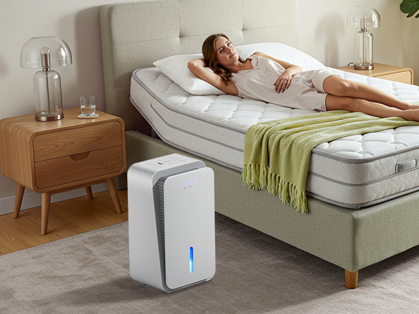 dehumidifier for bathroom