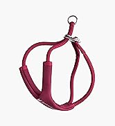 BuddyArmor Escape Proof Y Shape Cat Harness Anti-Choke Buckle Adjustable Comfortable Padded Cat V...