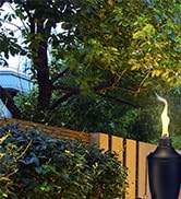 torches outside