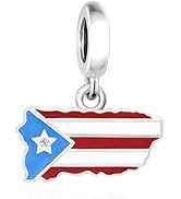 BSFJTY Flag Charms All Countries, 925 Sterling Silver Charms for Bracelets and Necklaces, Nationa...