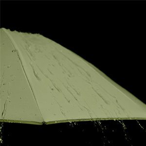 Umbrellas for Rain