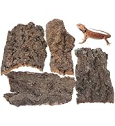 DOITOOL 4 Pcs Cork Bark for Reptiles, Cork Flats Reptile Bark for Terrarium Background, Climbing ...