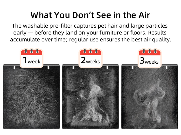 A pre-filter showing 3 weeks of collected pet hair highlights the purifier’s effective hair capture
