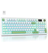 Mosptnspg RGB Mechanical Feel Membrane Wireless Keyboard, Wired/Bluetooth/2.4G Silent ABS Ball Ca...