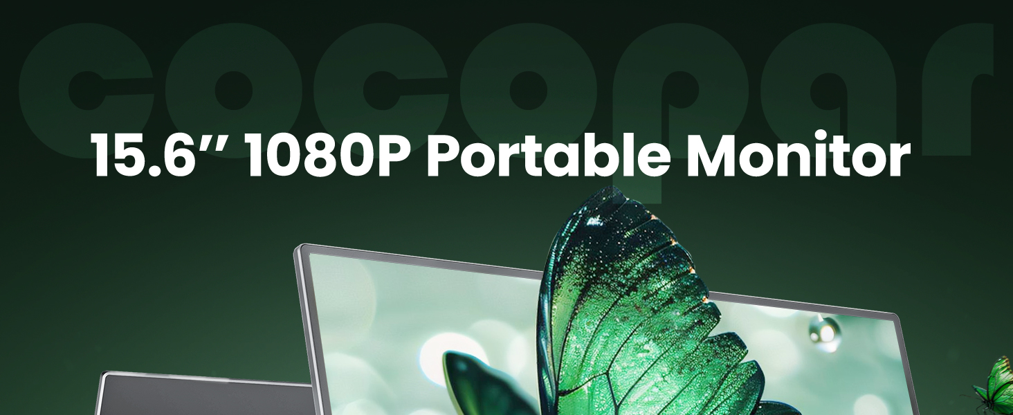 portable monitor