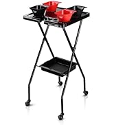 AW Folding Salon Tray on Wheels w/Drawer Beauty Barber Shop Hair Stylist