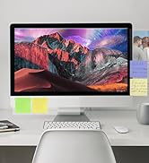 MECCALINE Monitor Memo Board 2Pcs - Flexible Clear PET Computer Screen Sticky Note Holder - Side ...