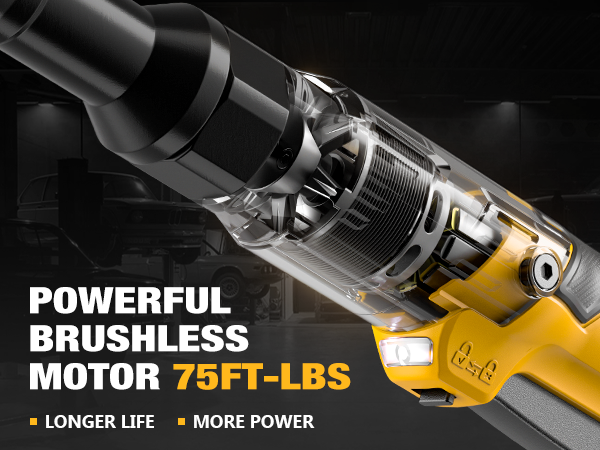 Brushless Motor