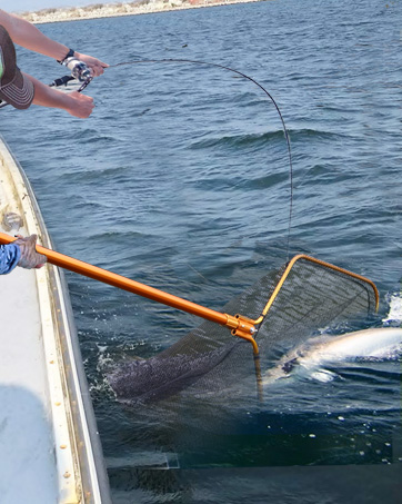 Fishing Landing Net