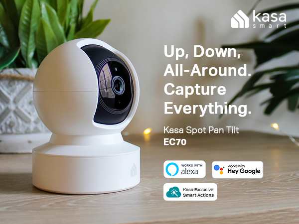 pet camera, baby camera, security camera, smart camera, kasa smart camera, dog camera, pet cam