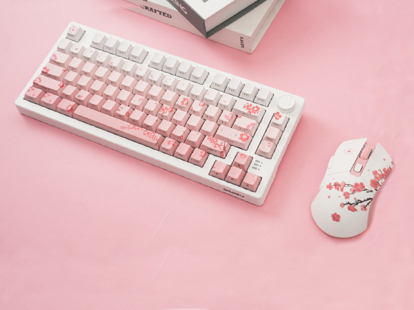 pink keyboard and mouse combe