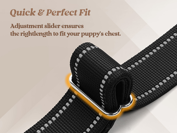 dog harness