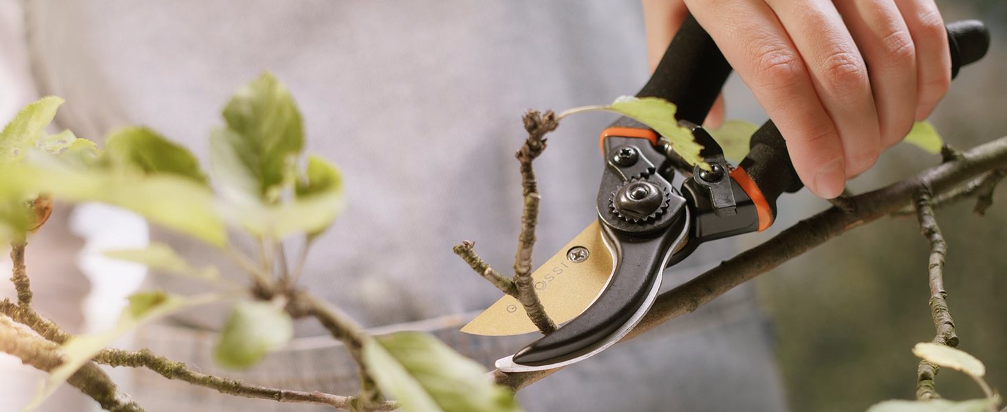 Tree Trimming