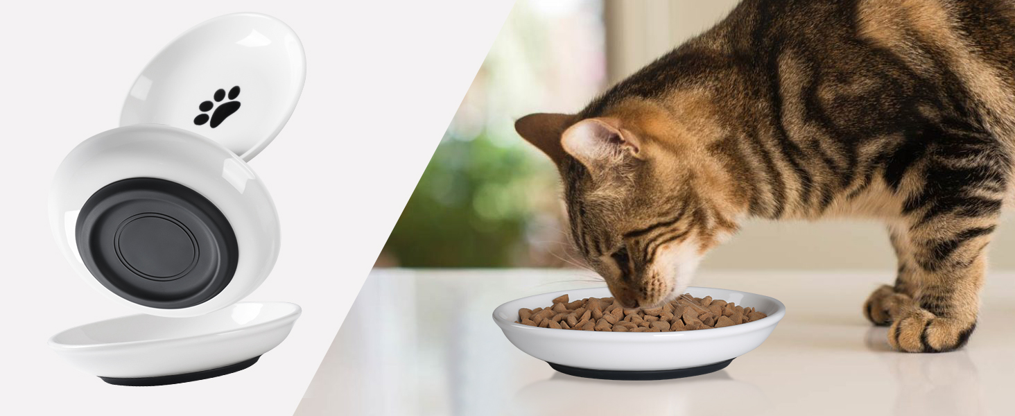 cat plates