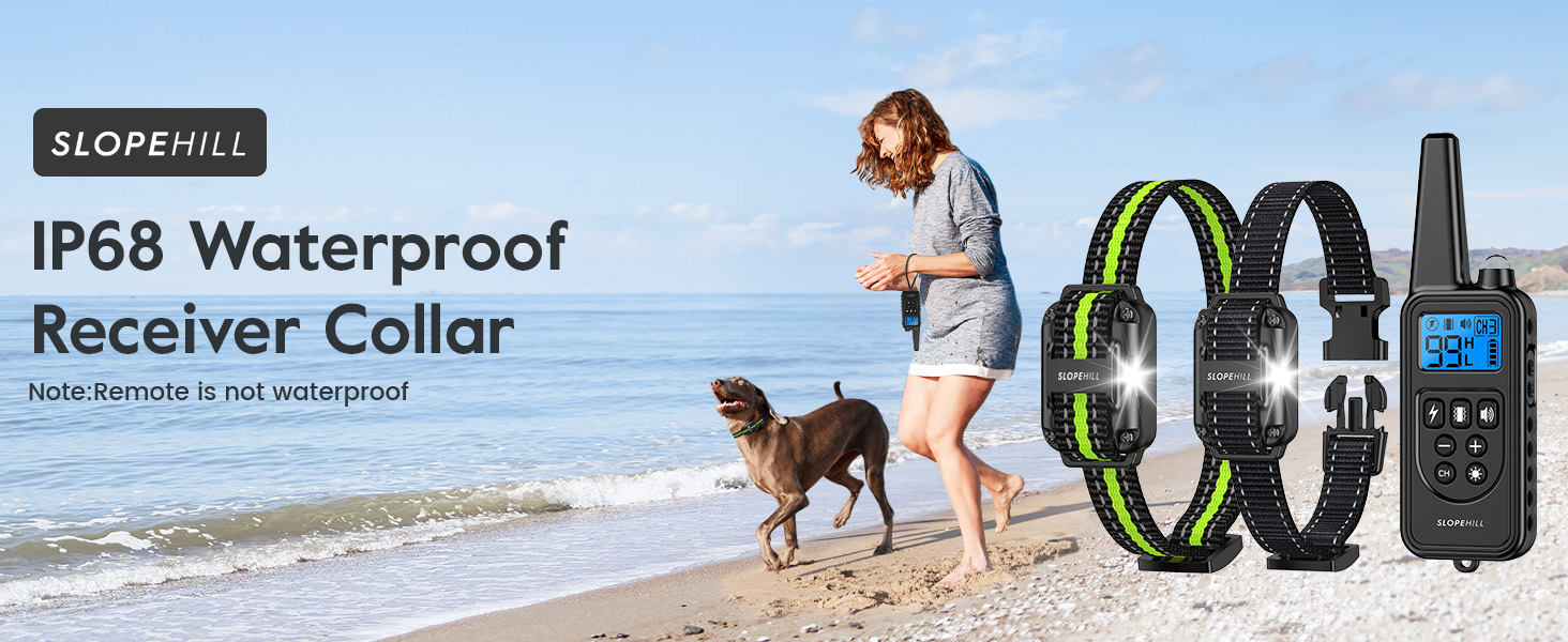 shock collar for dogs