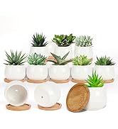 SHECIPIN Succulent Pots, White Mini 2.5 inch Ceramic Flower Planter Pot with Bamboo Tray, Pack of...