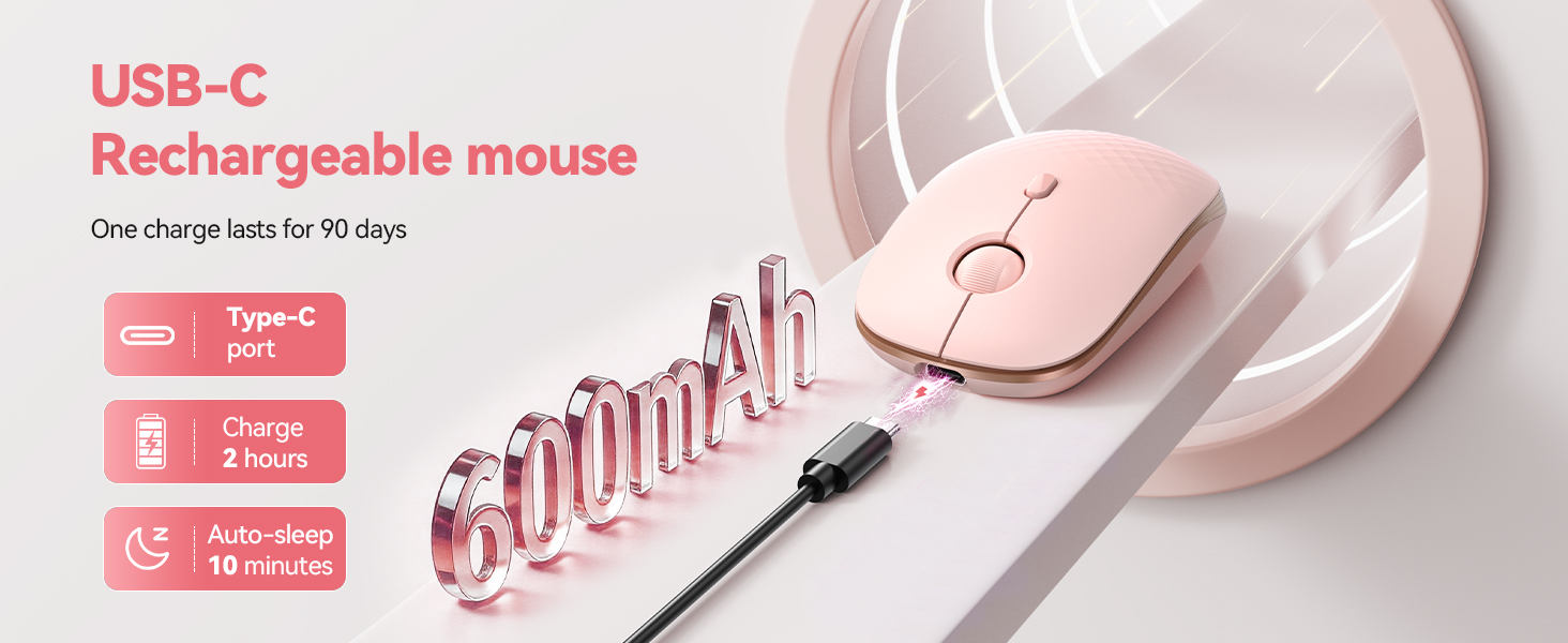 mouse