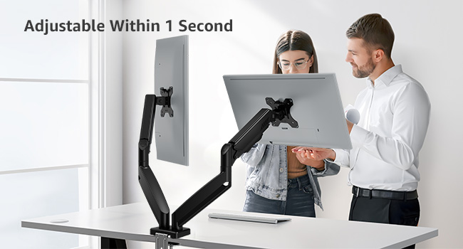 DUAL MONITOR MOUNT
