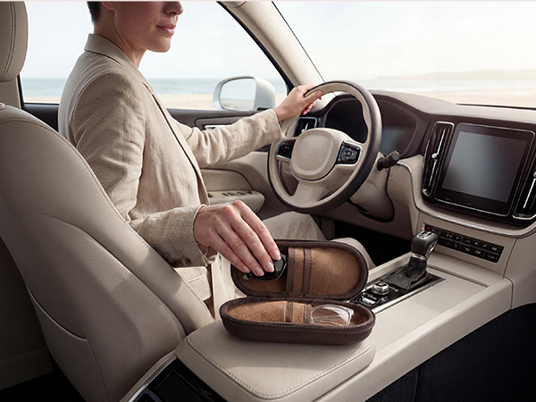 Drive Companion