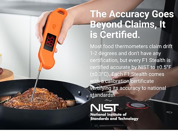 meat thermometer