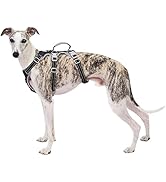 Escape Proof Dog Harness