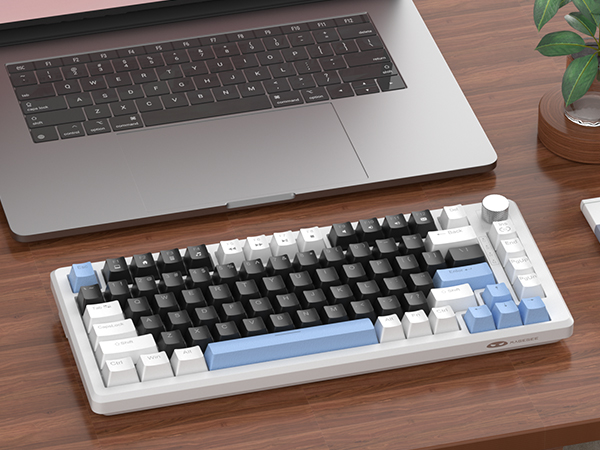 Great for Gaming and Office