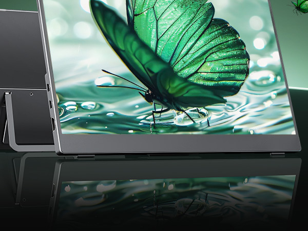 portable monitor