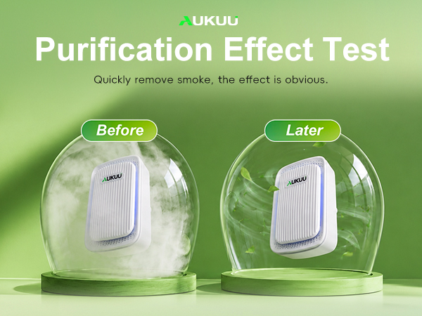 Effect Test Purification