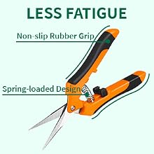 Pruning Shears