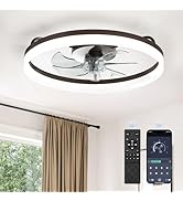 LEDIARY Ceiling Fans with Lights, 20 inch Low Profile Flush Mount Ceiling Fan, Dimmable LED, APP ...