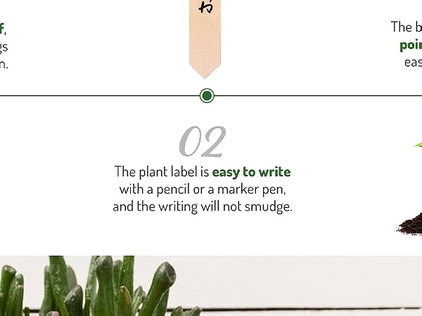 WH0434 50Pcs Wooden Plant Labels