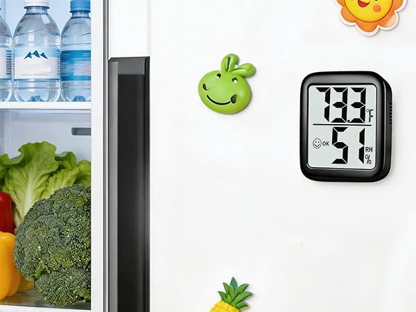 thermometer and humidity gauge
