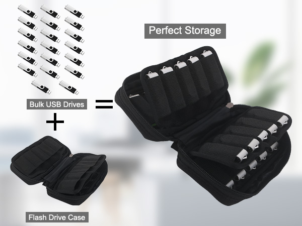 Flash drive storage case