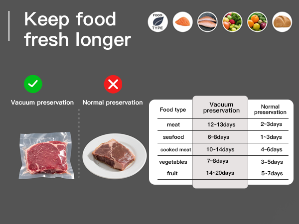Food Vacuum Sealer