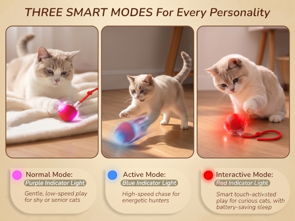 Interactive cat toys motion activated and rechargeable automatic cat interactive toys for play.