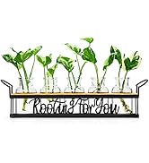 THYGIFTREE Plant Propagation Stations, for Plant Lovers Rooting for You Propagate Jars for Hydrop...