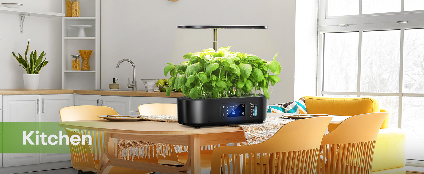 Balcony Hydroponics