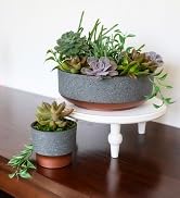 succulent planter, succulent container, succulent plant pot, modern plant pot, indoor plant pot